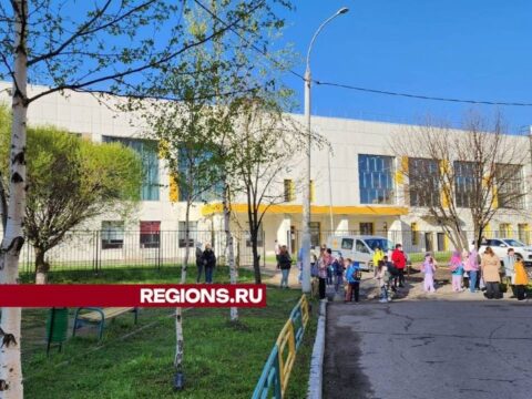Почти 1200 человек в Подольске записали детей в первый класс через портал госуслуг Новости Подольска 