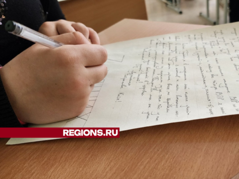 В гимназии имени Подольских курсантов в День добрых дел написали сотни писем бойцам СВО Новости Подольска 