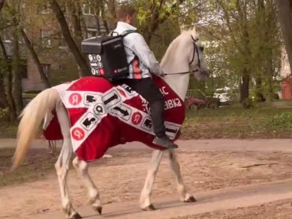 В Подольске доставщики еды пересели на лошадей Новости Подольска 