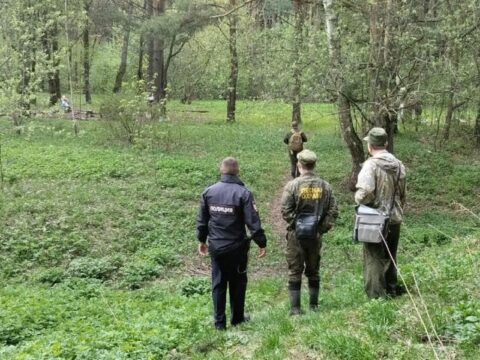 Более десяти нарушений правил пожарной безопасности пресекли в подольских лесах Новости Подольска 