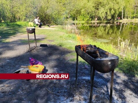 Зона отдыха у Змеиного озера в Подольске создана для приготовления шашлыков Новости Подольска 